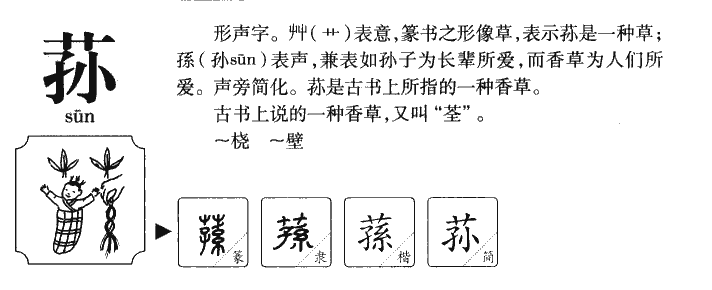荪字字源字形
