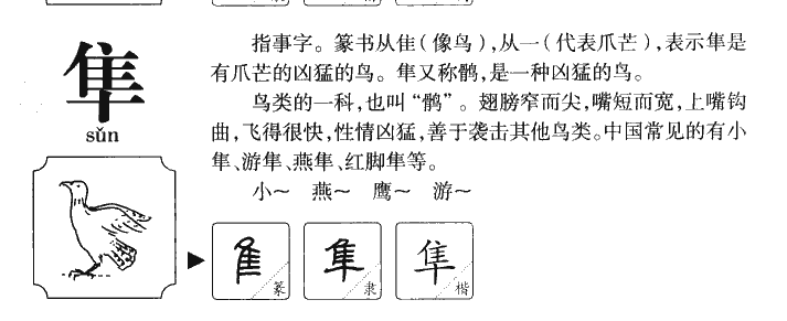 隼字字源字形