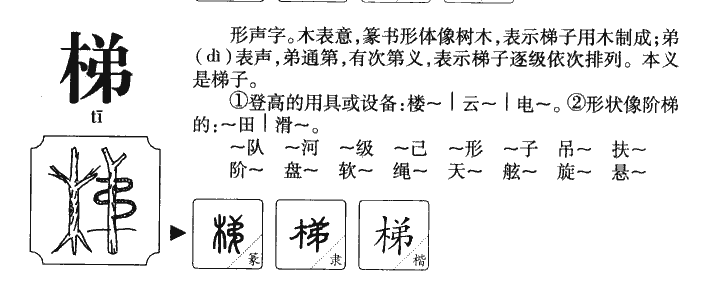 梯字字源字形