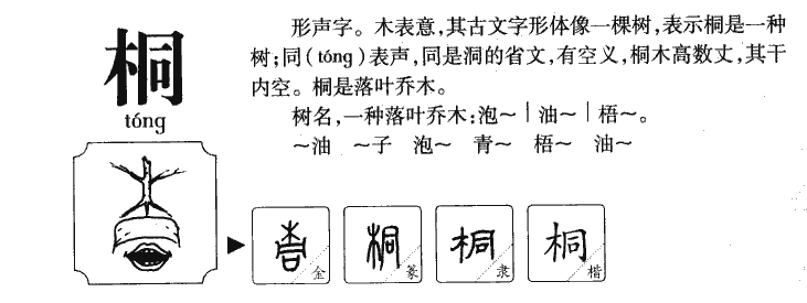 桐字字源字形