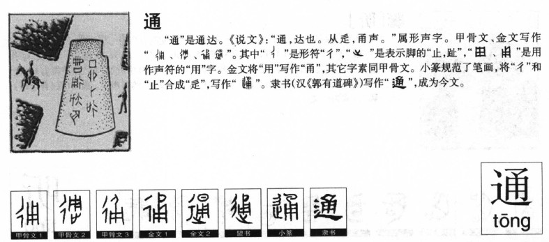 通字字源字形