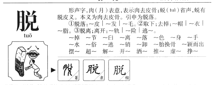 脱字字源字形