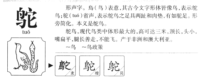 鸵字字源字形