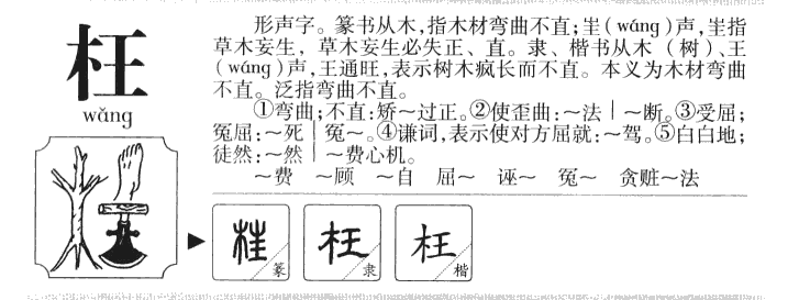 枉字字源字形
