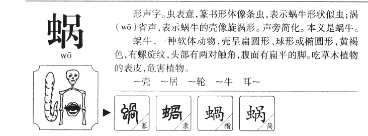 蜗字字源字形