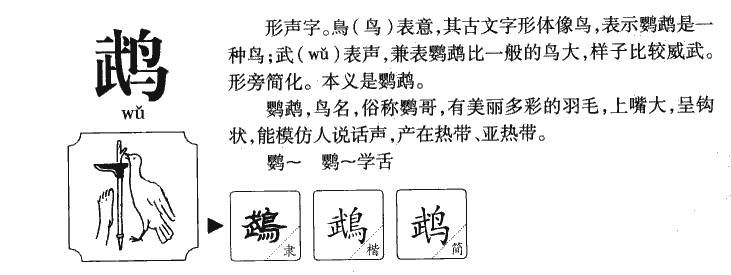 鹉字字源字形