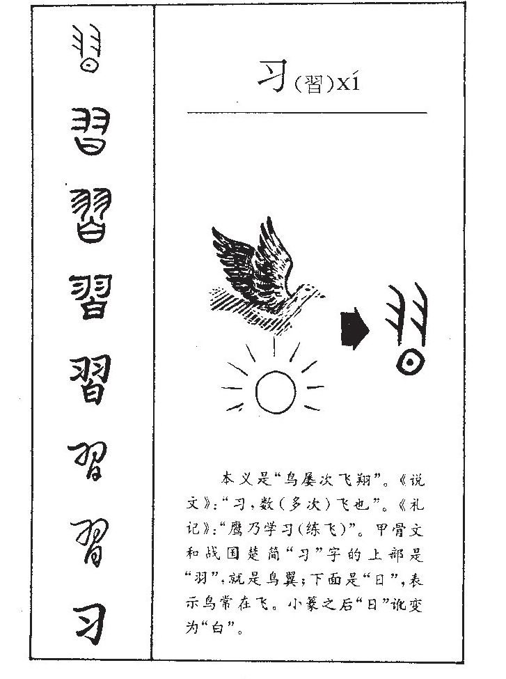 习字字源字形