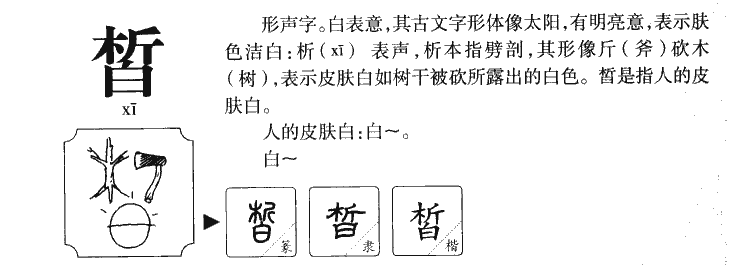皙字字源字形