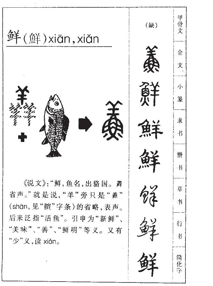 鲜字字源字形