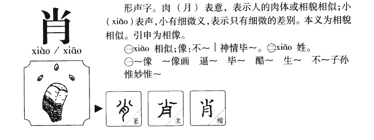 肖字字源字形