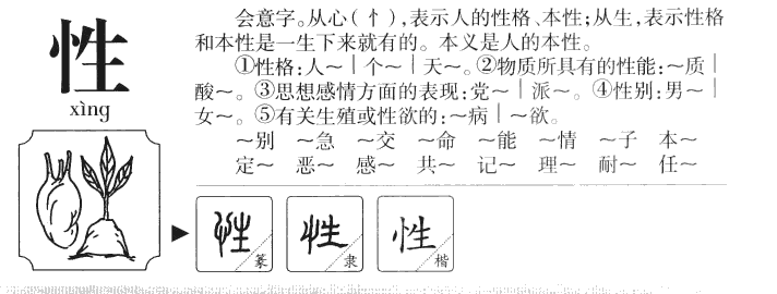 性字字源字形