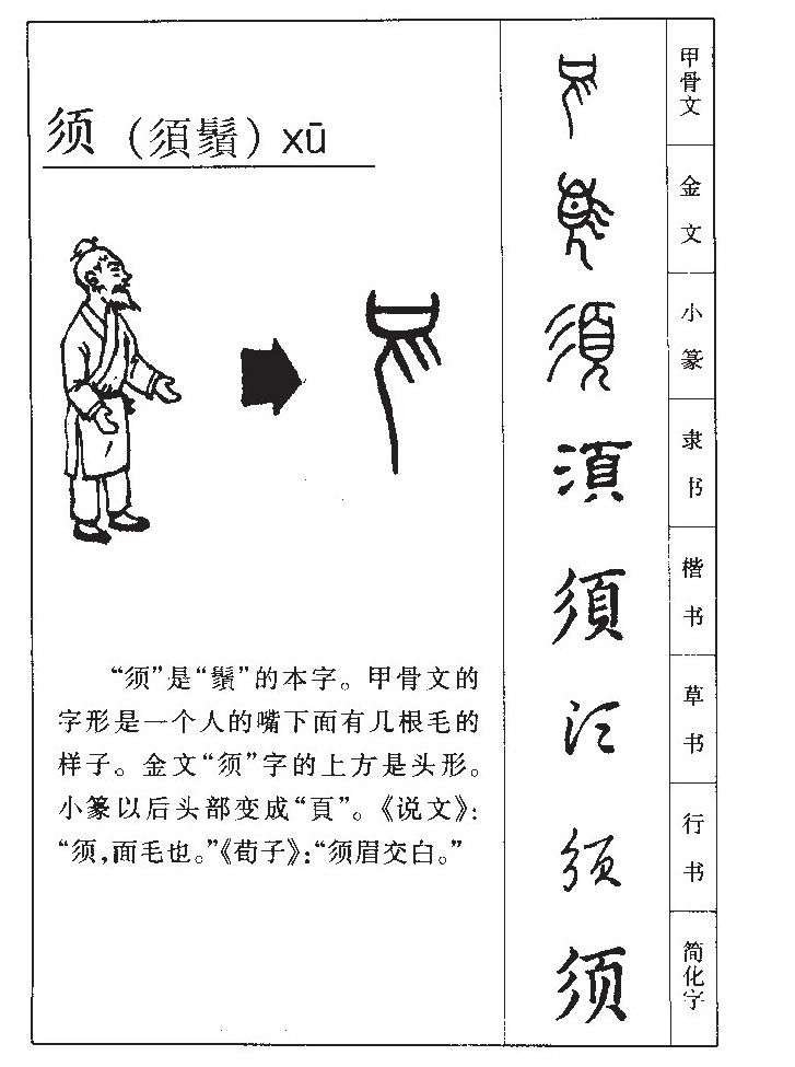 须字字源字形