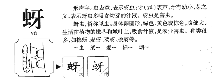 蚜字字源字形