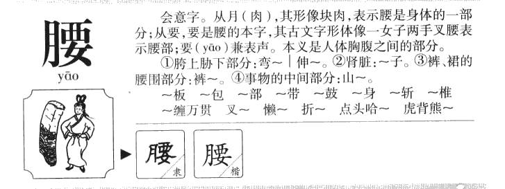 腰字字源字形
