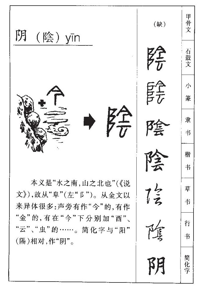 阴字字源字形