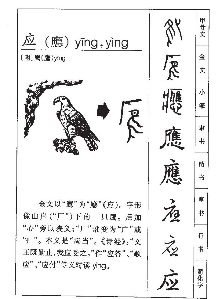 应字字源字形