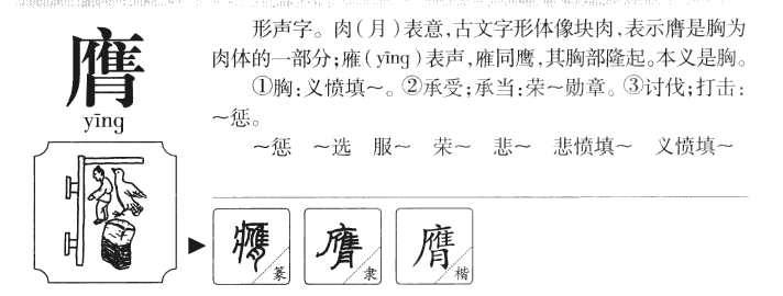 膺字字源字形