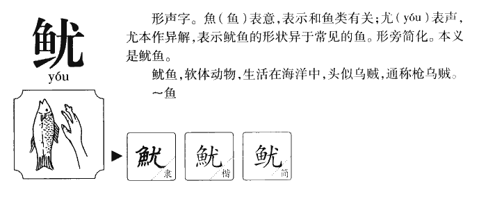 鱿字字源字形