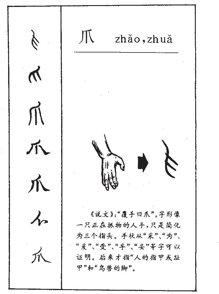 爪字字源字形