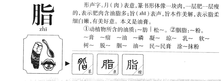 脂字字源字形