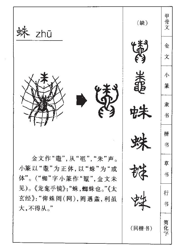 蛛字字源字形