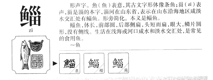 鲻字字源字形