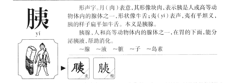 胰字字源字形