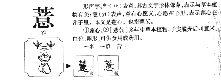 薏字字源字形
