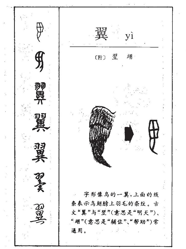 翼字字源字形